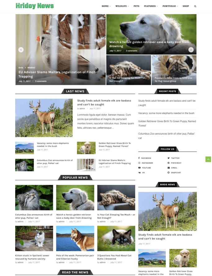 News & Magazine Website — full-page website screenshot designed by Wp Hridoy Khan